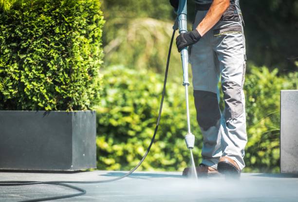 Best Roof Washing  in Riverse, ID